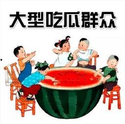 娱乐吃瓜菌中式教育,吃瓜菌视角下的甜蜜苦涩